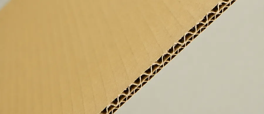 E & F Flute